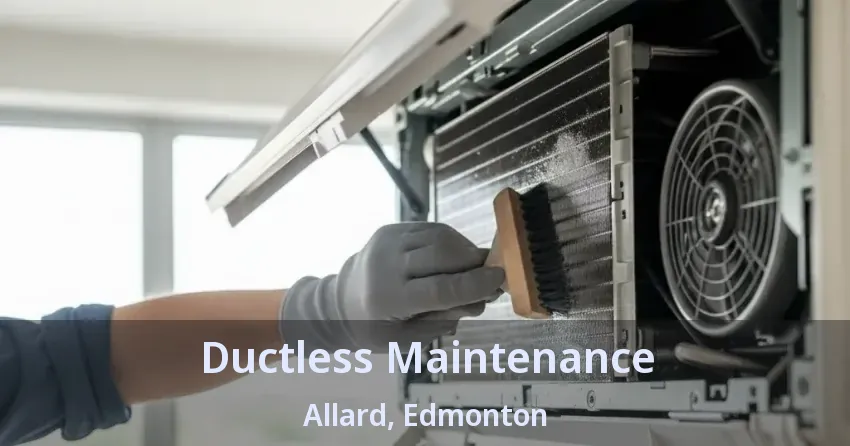 Ductless Maintenance Allard, Edmonton - AB