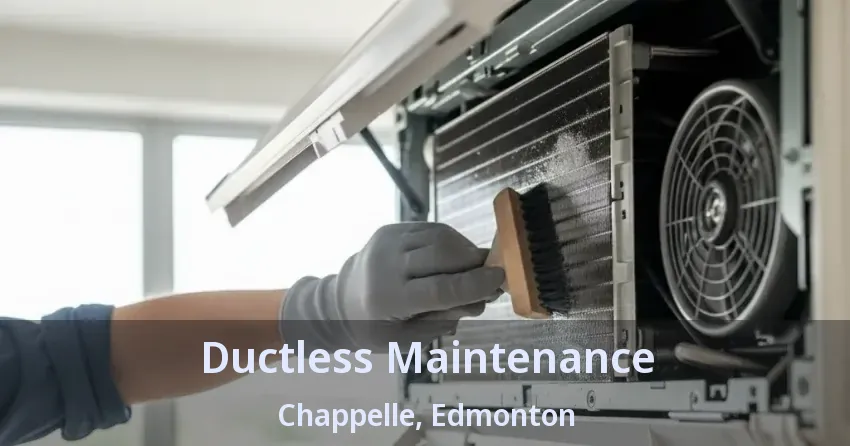 Ductless Maintenance Chappelle, Edmonton - AB