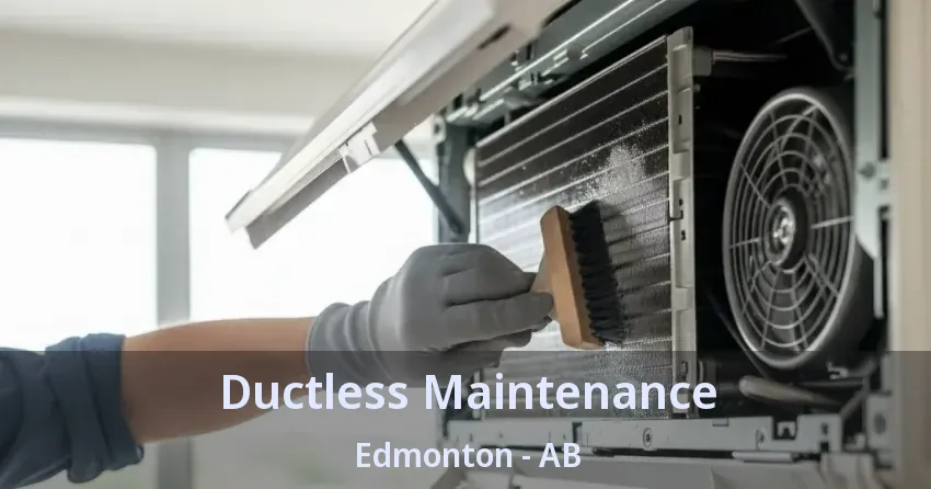 Ductless Maintenance Edmonton - AB