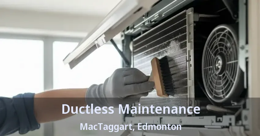 Ductless Maintenance MacTaggart, Edmonton - AB