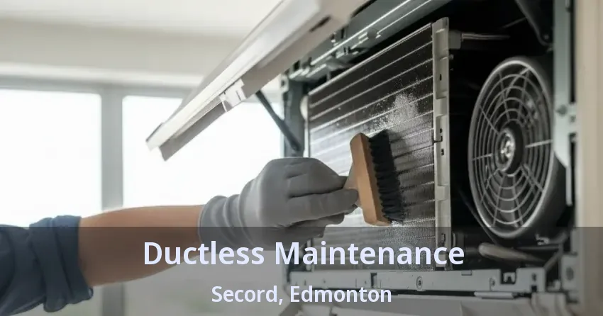 Ductless Maintenance Secord, Edmonton - AB