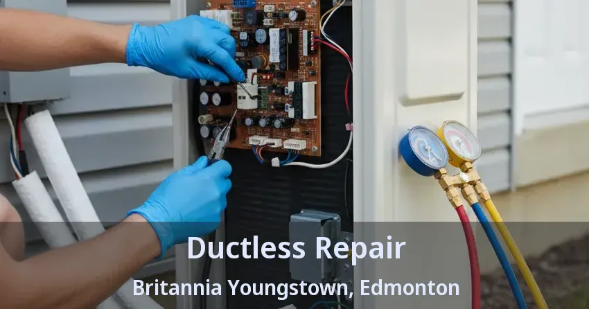 Ductless Repair Britannia Youngstown, Edmonton - AB Ductless Repair Britannia Youngstown, Edmonton - AB