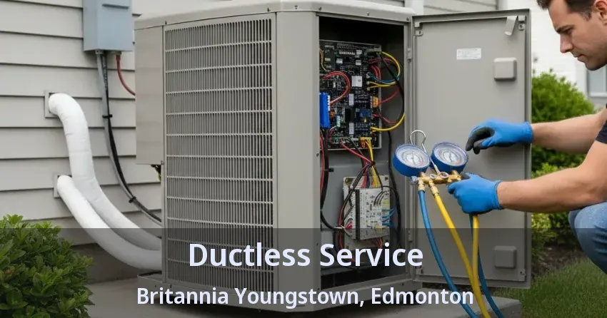 Ductless Service Britannia Youngstown, Edmonton - AB