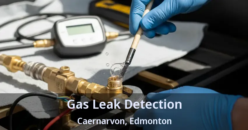 Gas Leak Detection Caernarvon, Edmonton - AB Gas Leak Detection Caernarvon, Edmonton - AB