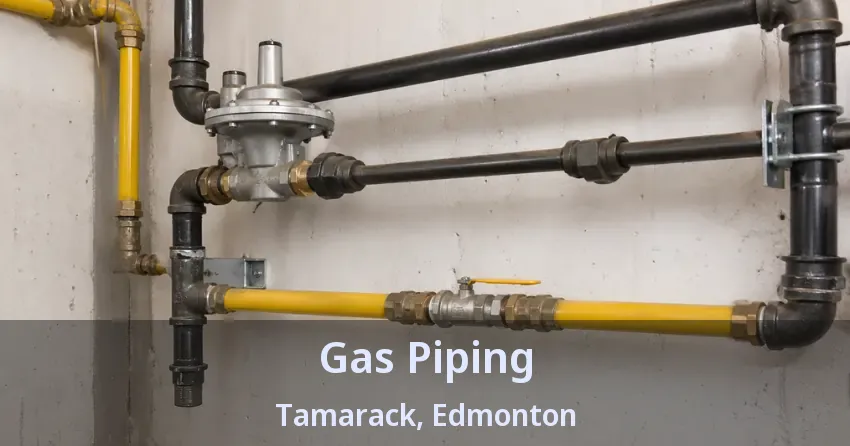 Gas Piping Tamarack, Edmonton - AB