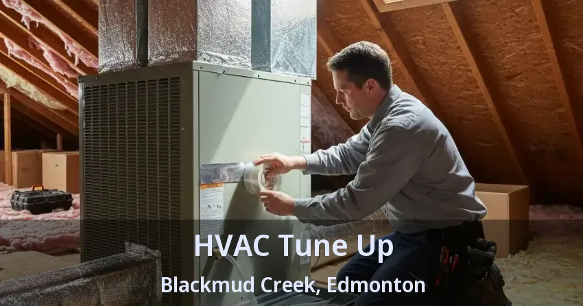 HVAC Tune Up Blackmud Creek, Edmonton - AB
