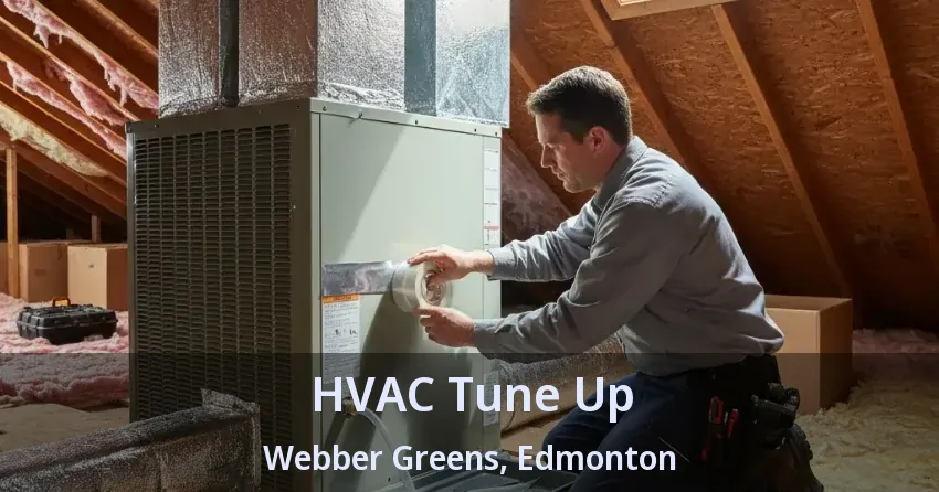 HVAC Tune Up Webber Greens, Edmonton - AB