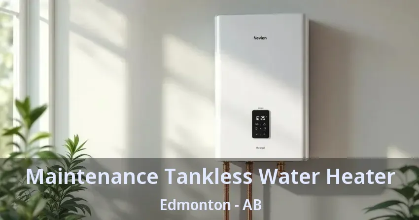 Maintenance Tankless Water Heater Edmonton - AB Maintenance Tankless Water Heater Edmonton - AB