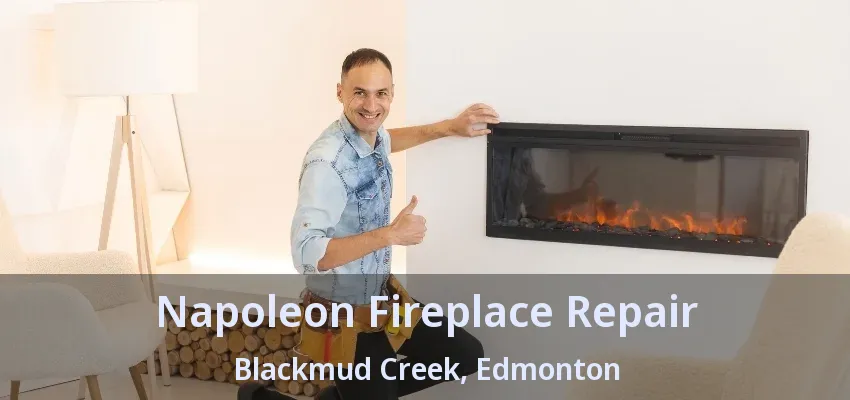 Napoleon Fireplace Repair Blackmud Creek, Edmonton - AB
