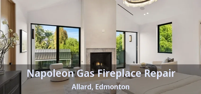 Napoleon Gas Fireplace Repair Allard, Edmonton - AB Napoleon Gas Fireplace Repair Allard, Edmonton - AB