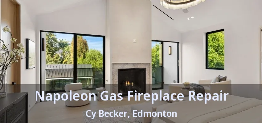 Napoleon Gas Fireplace Repair Cy Becker, Edmonton - AB