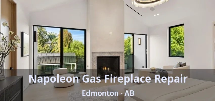 Napoleon Gas Fireplace Repair Edmonton - AB