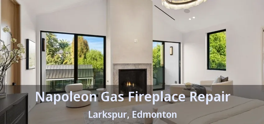 Napoleon Gas Fireplace Repair Larkspur, Edmonton - AB