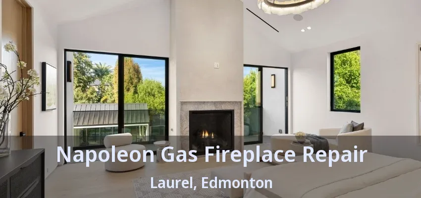 Napoleon Gas Fireplace Repair Laurel, Edmonton - AB Napoleon Gas Fireplace Repair Laurel, Edmonton - AB