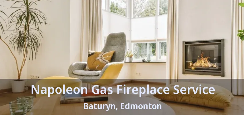 Napoleon Gas Fireplace Service Baturyn, Edmonton - AB