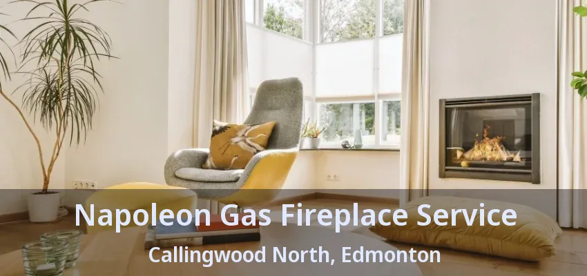 Napoleon Gas Fireplace Service Callingwood North, Edmonton - AB Napoleon Gas Fireplace Service Callingwood North, Edmonton - AB