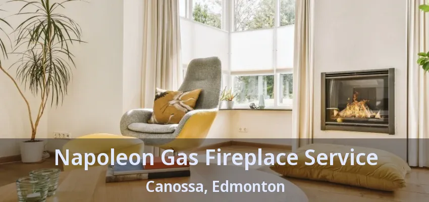 Napoleon Gas Fireplace Service Canossa, Edmonton - AB Napoleon Gas Fireplace Service Canossa, Edmonton - AB