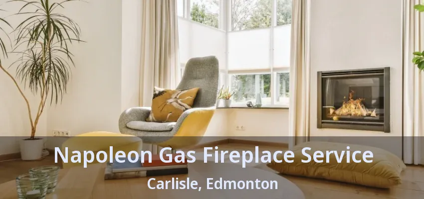 Napoleon Gas Fireplace Service Carlisle, Edmonton - AB