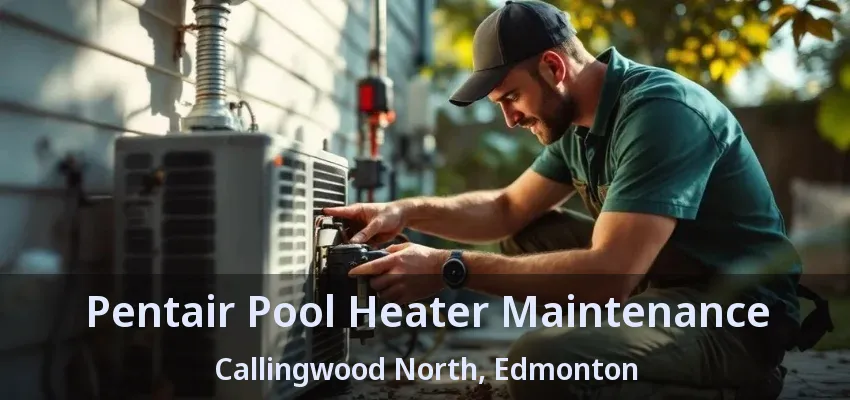 Pentair Pool Heater Maintenance Callingwood North, Edmonton - AB