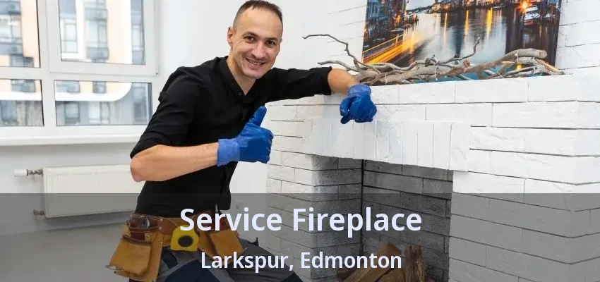 Service Fireplace Larkspur, Edmonton - AB Service Fireplace Larkspur, Edmonton - AB