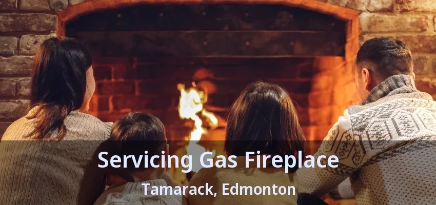 Servicing Gas Fireplace Tamarack, Edmonton - AB Servicing Gas Fireplace Tamarack, Edmonton - AB