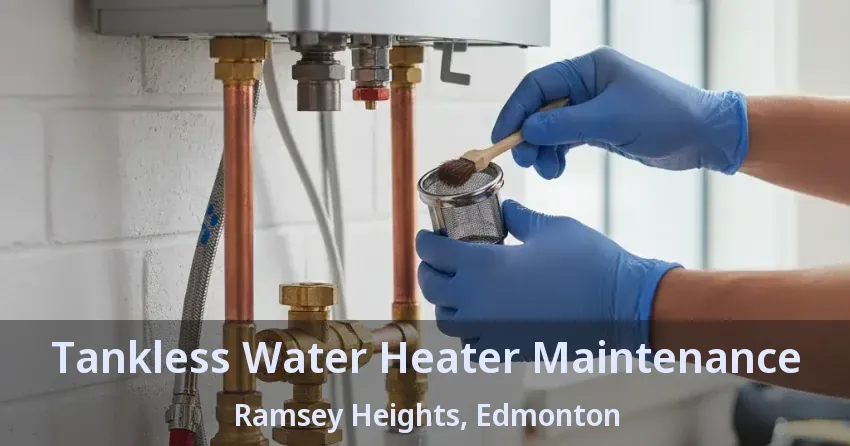 Tankless Water Heater Maintenance Ramsey Heights, Edmonton - AB