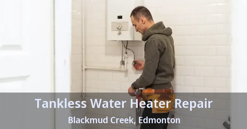 Tankless Water Heater Repair Blackmud Creek, Edmonton - AB Tankless Water Heater Repair Blackmud Creek, Edmonton - AB