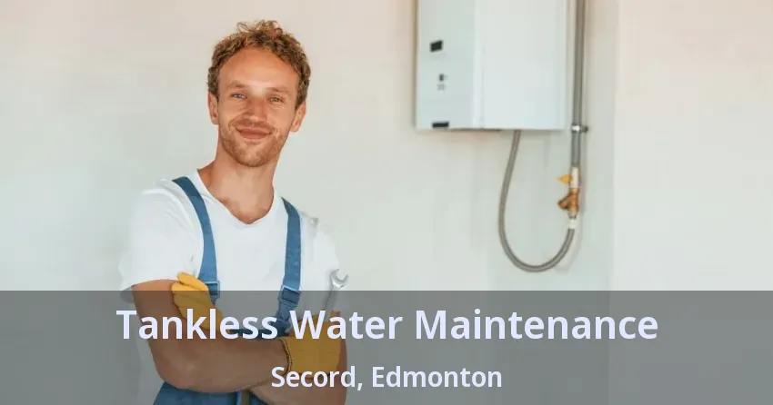 Tankless Water Maintenance Secord, Edmonton - AB