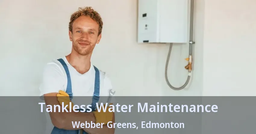 Tankless Water Maintenance Webber Greens, Edmonton - AB Tankless Water Maintenance Webber Greens, Edmonton - AB