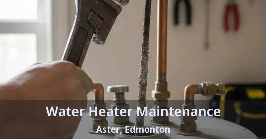 Water Heater Maintenance Aster, Edmonton - AB