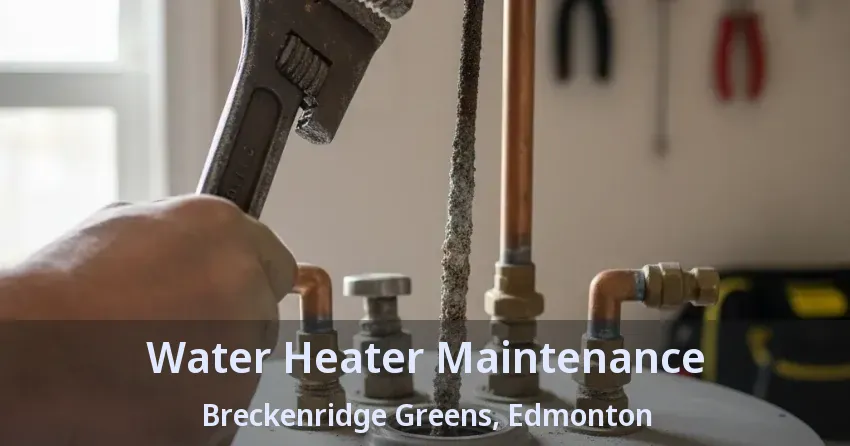 Water Heater Maintenance Breckenridge Greens, Edmonton - AB Water Heater Maintenance Breckenridge Greens, Edmonton - AB