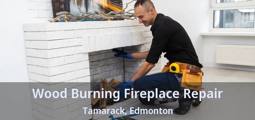 Wood Burning Fireplace Repair Tamarack, Edmonton - AB Wood Burning Fireplace Repair Tamarack, Edmonton - AB